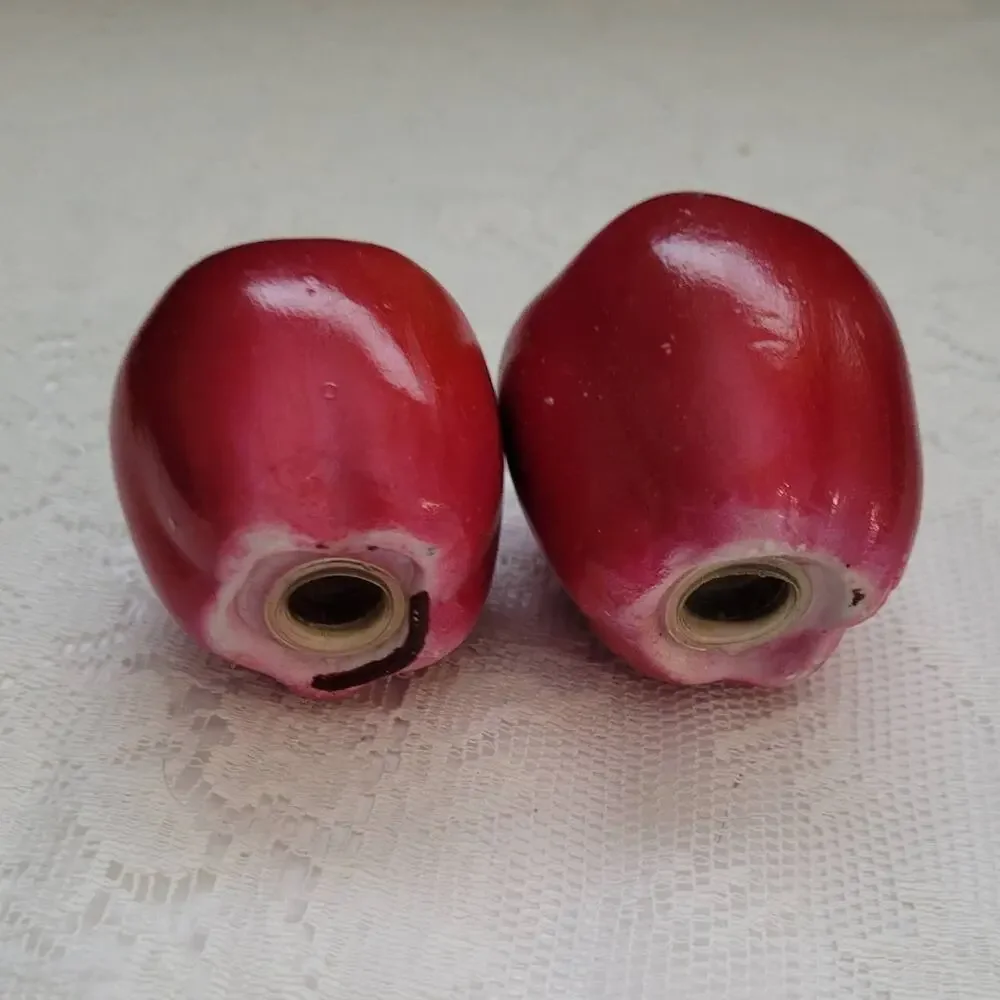 Vintage Red Apple Salt and Pepper Condiments Ceramic Shakers